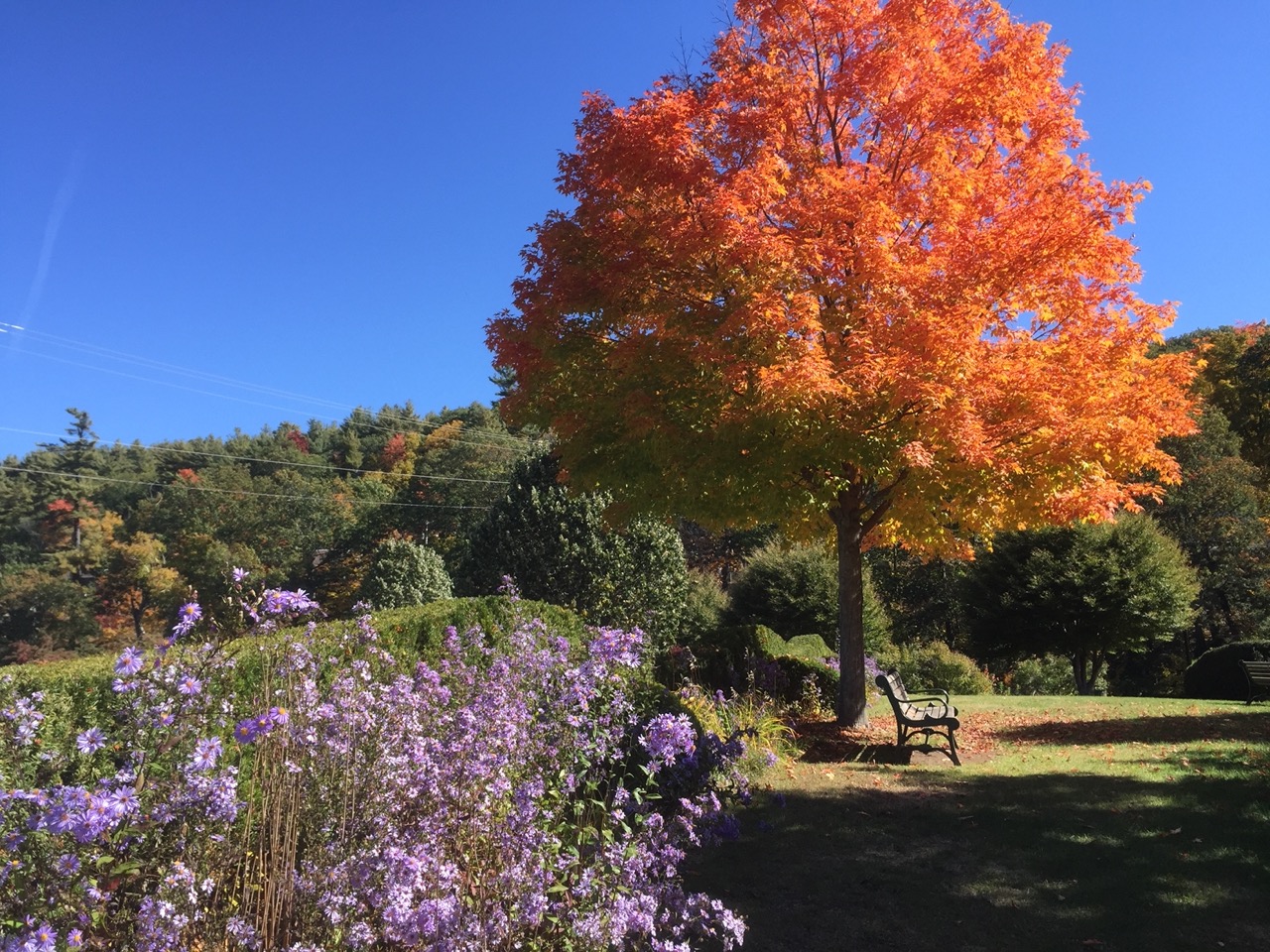 Fall Foliage, Depot Square Park – Peterborough, New Hampshire